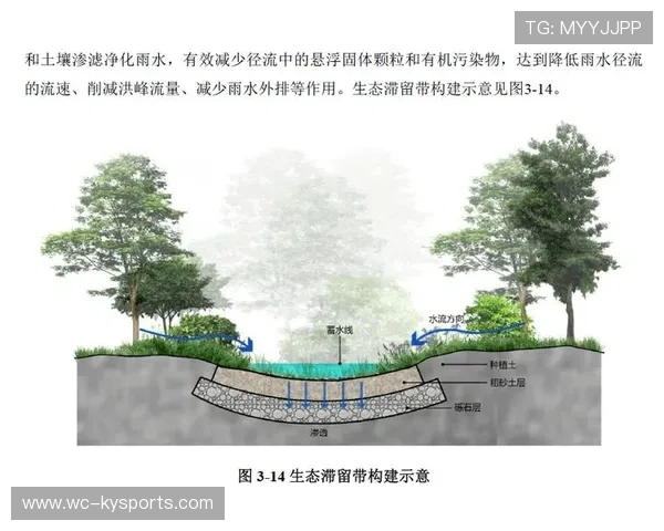 国际帆板联合会发布海岸生态修复志愿指南